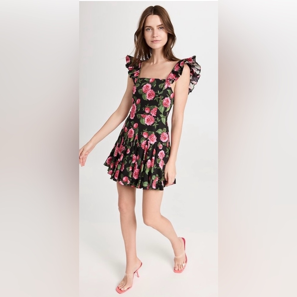 NWT! Alice + Olivia Ginny Ruffle Sleeve Romantic Floral Print Mini Dress, Size 6